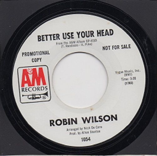 ROBIN WILSON - BETTER USE YOUR HEAD