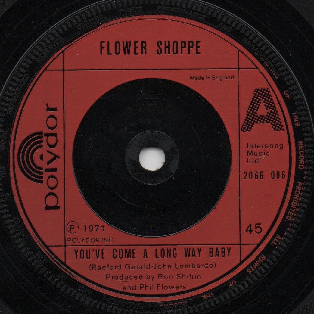 FLOWER SHOPPE - YOU'VE COME A LONG WAY BABY