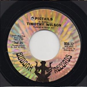 TIMOTHY WILSON - PIGTAILS