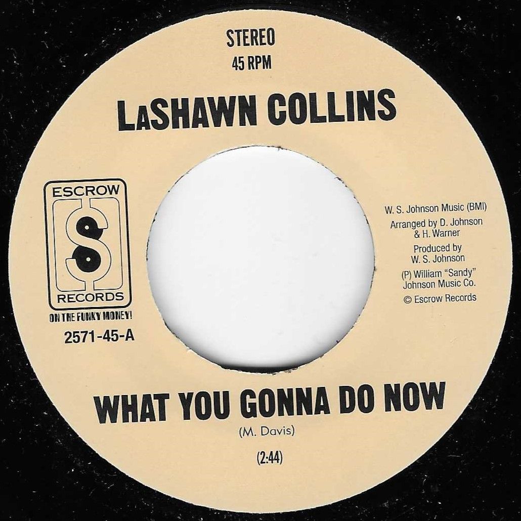 LaSHAWN COLLINS - WHAT YOU GONNA DO NOW