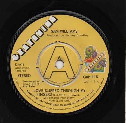 SAM WILLIAMS - LOVE SLIPPED THROUGH MY FINGERS