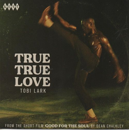 TOBI LARK - TRUE TRUE LOVE / THE DAVE & DARRELL BAND - TRUE TRUE LOVE (INSTR.)