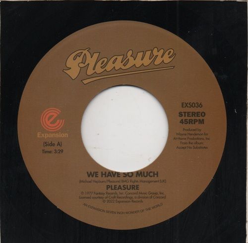 PLEASURE - WE HAVE SO MUCH