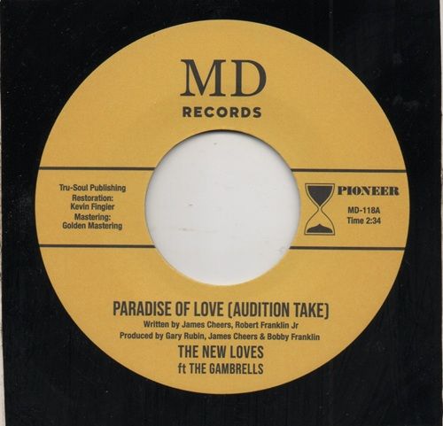 THE NEW LOVES FT. THE GAMBRELLS - PARADISE OF LOVE (AUDITION TAKE)