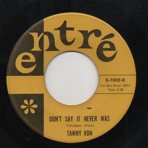 TAWNY VON - DON'T SAY IT NEVER WAS