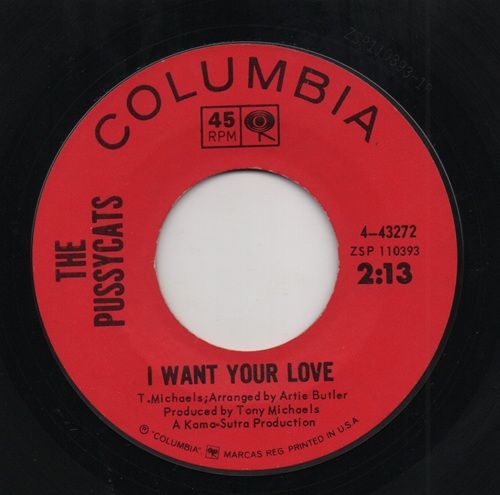 PUSSYCATS - I WANT YOUR LOVE / THE RIDER