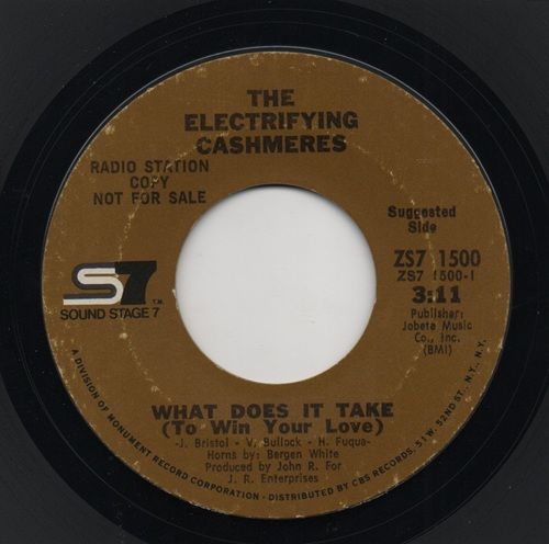 ELECTRIFYING CASHMERES - WHAT DOES IT TAKE (TO WIN YOUR LOVE) / OOH I LOVE YOU
