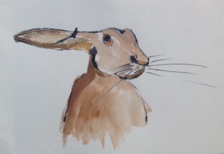 Hare Sketch by me