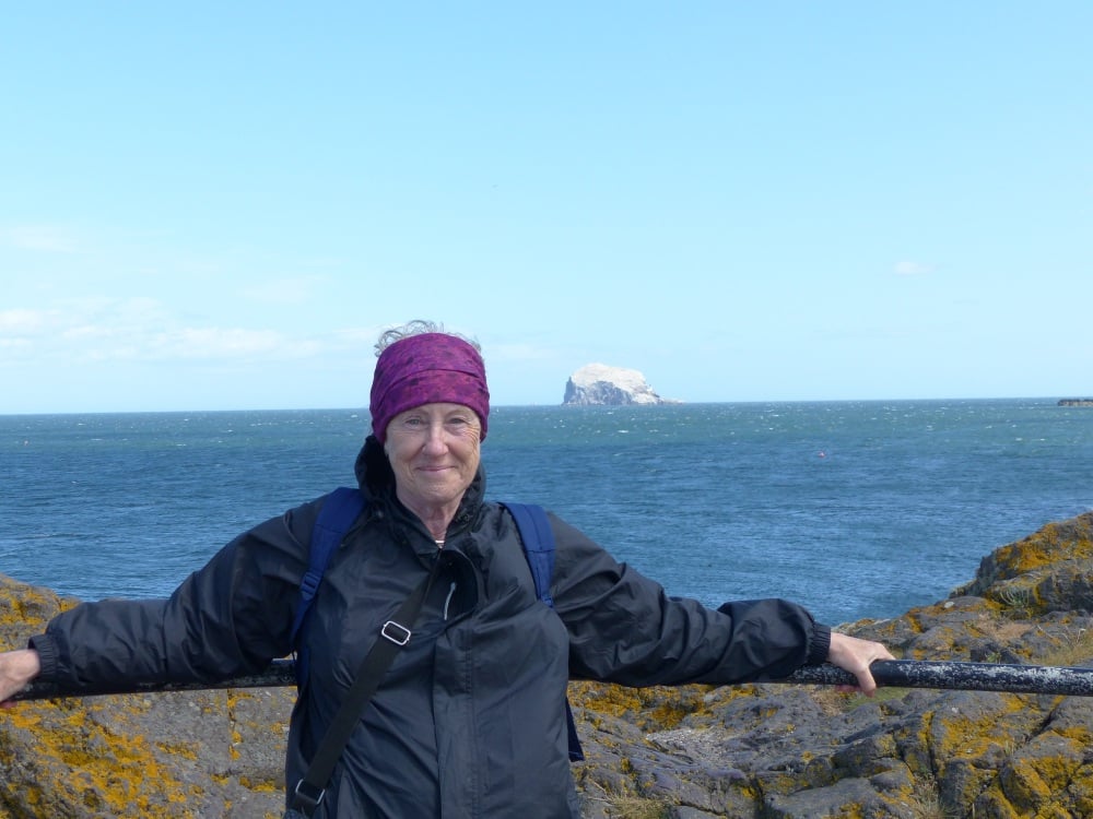 N Berwick, Bass Rock in background