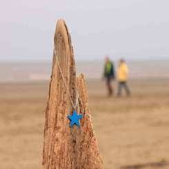 Beach with Sea Star