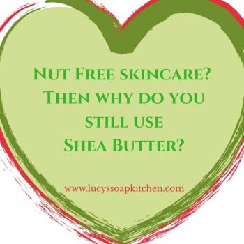 is shea butter a nut