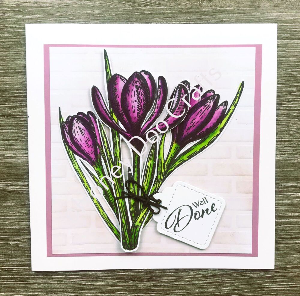 Spring has Sprung  (A5 Stamp)