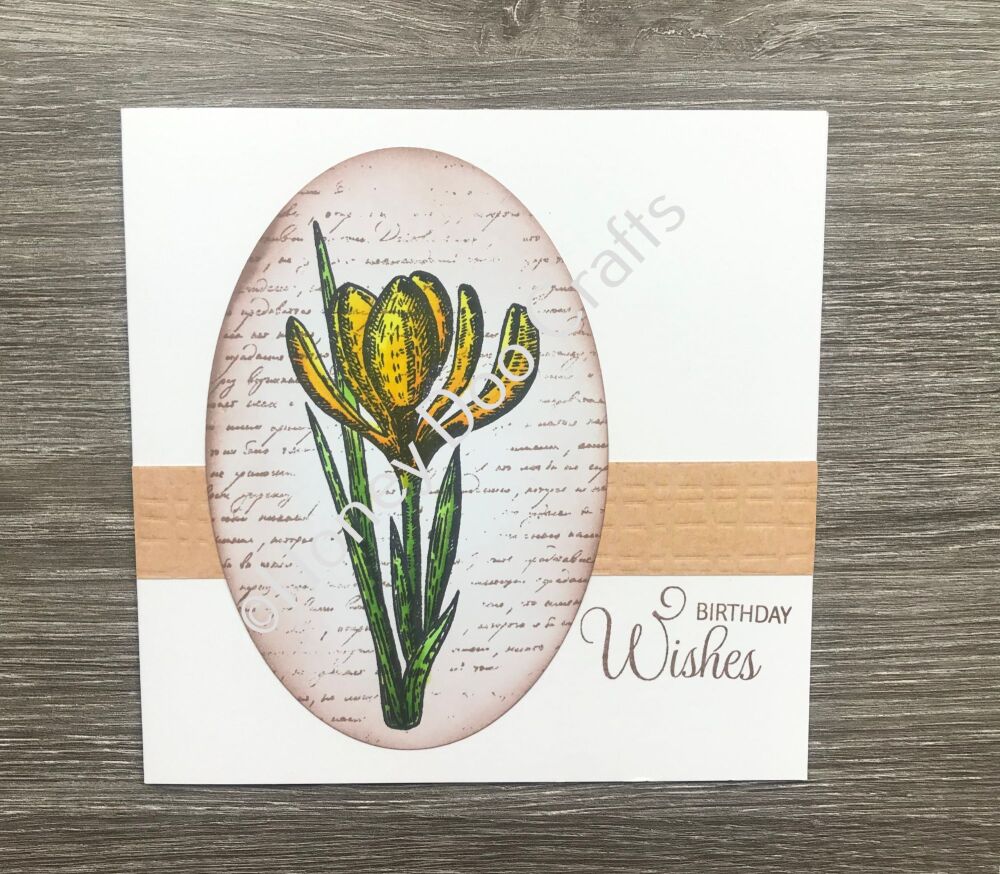 Crocus  (A6 Stamp)