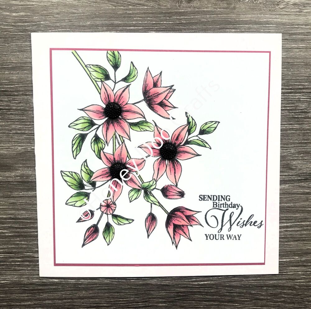 Clematis Spray  (A6 Stamp)