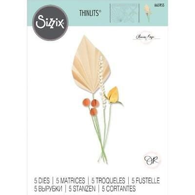 Sizzix Thinlits Die Set 5PK - Ornamental Stems