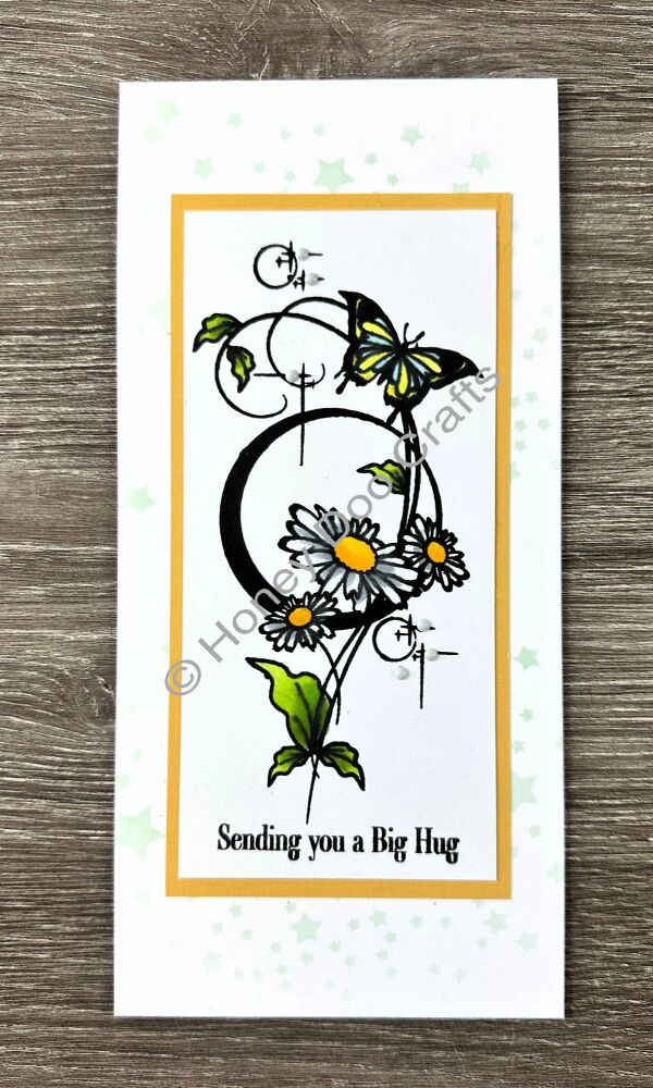 New - Picture Perfect  (A6 Stamp)