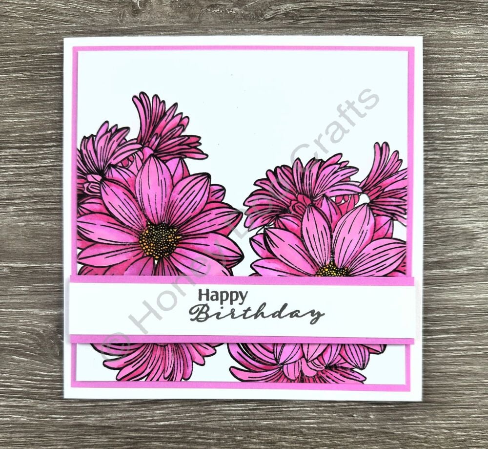 New - Summer Fun Florals Mega Bundle