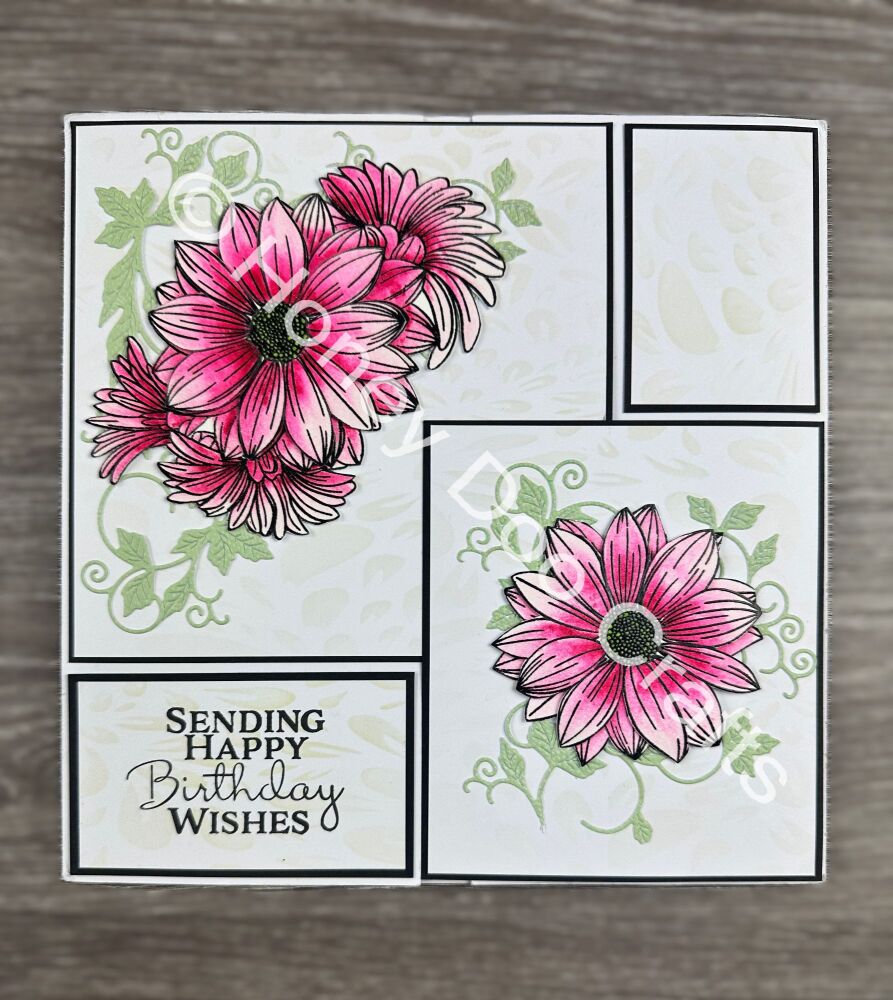 New - Botanical Display  (A6 Stamp)