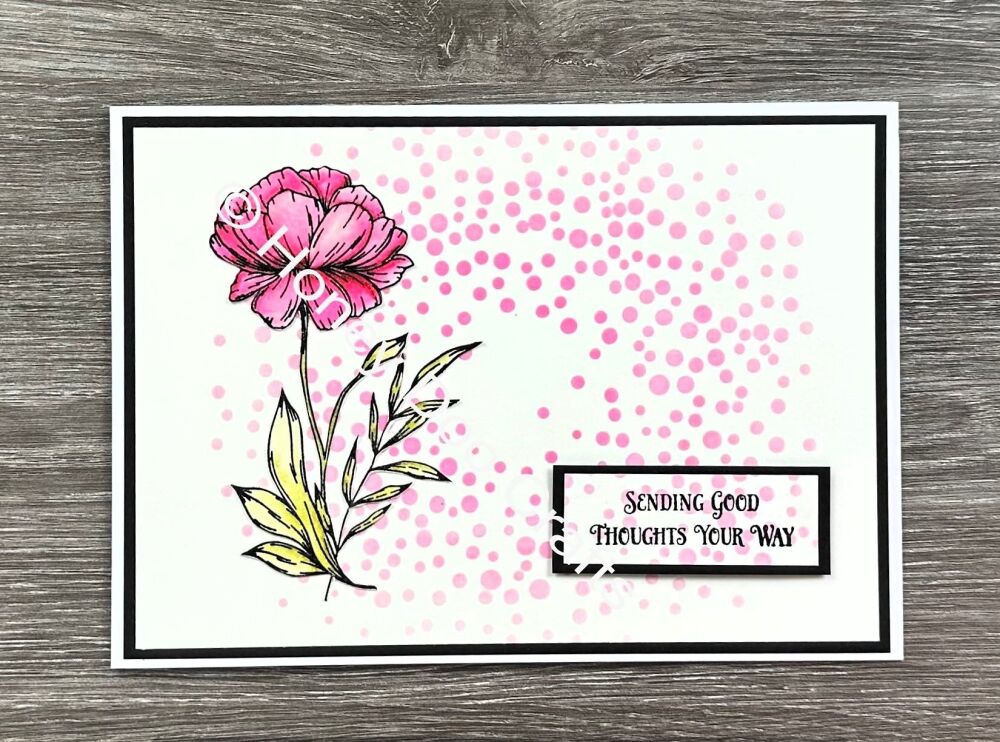Single Peony  (A6 Stamp)