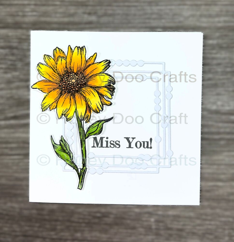 New - Pretty As A Picture (A5 Stamp)