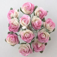 Miniature Tea Roses 