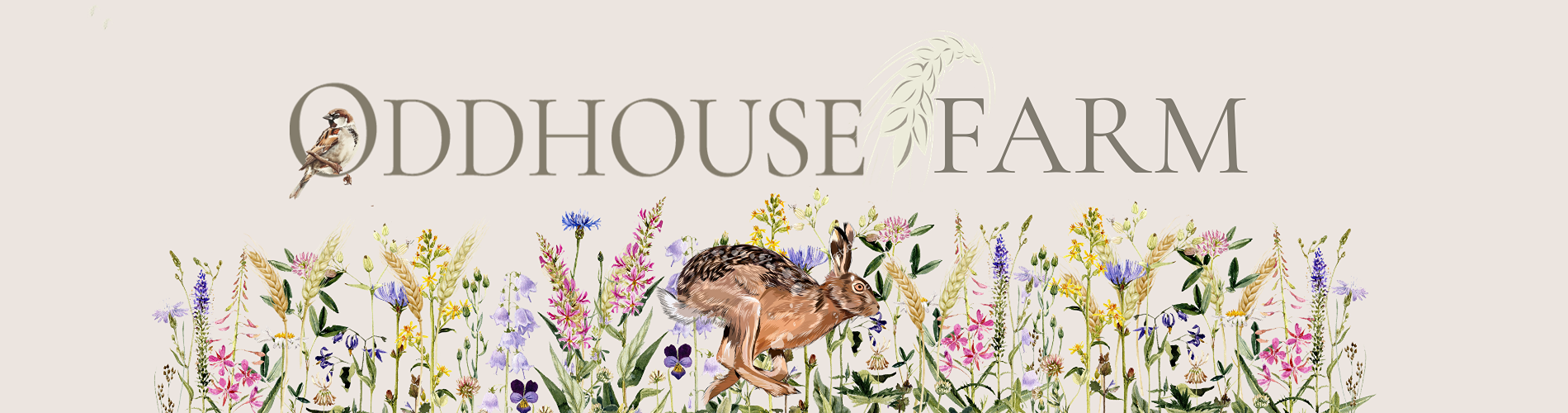 Oddhouse Farm Weddings & Events Venue