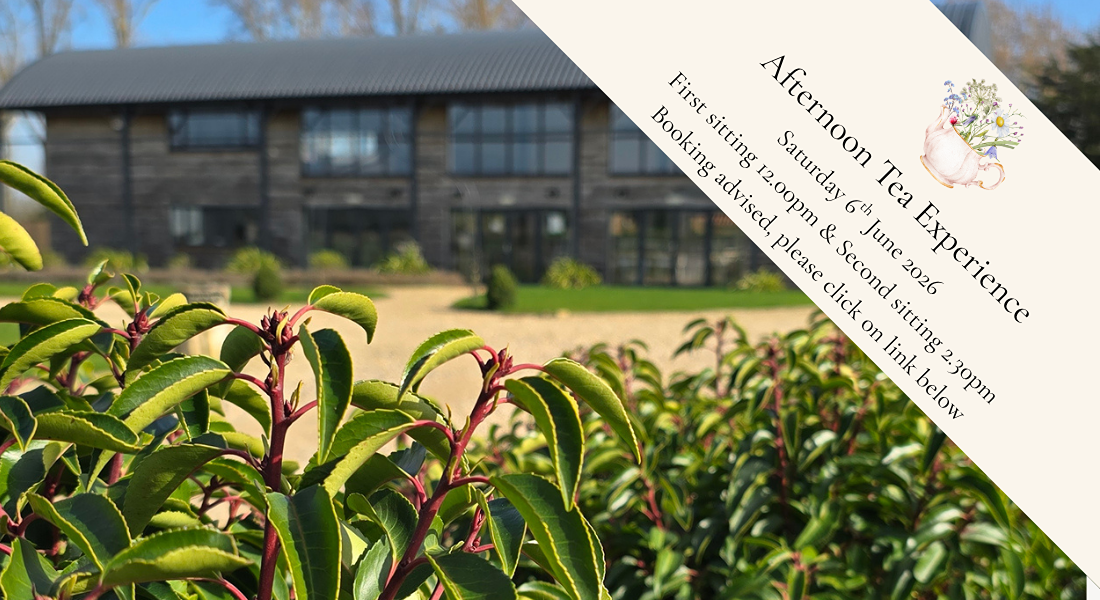 Afternoon Tea(2).png