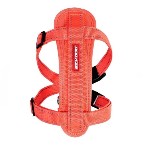 Chest Plate Dog Harness - Orange - Large