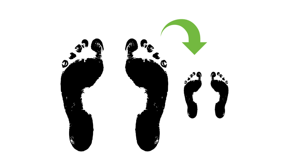 reduce-carbon-footprint