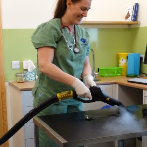 animal-care-veterinary-steam-cleaning-furniture
