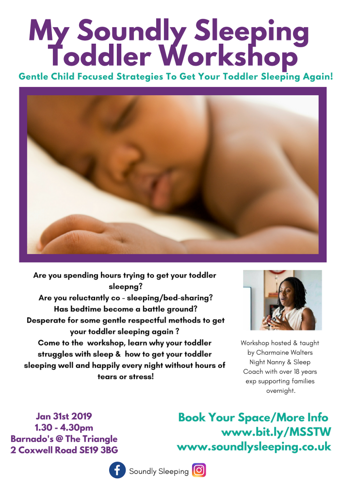 My Soundly Sleeping Toddler Workshop