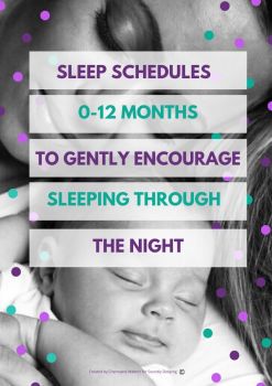 Sleep Schedules 0-12 months Freebie