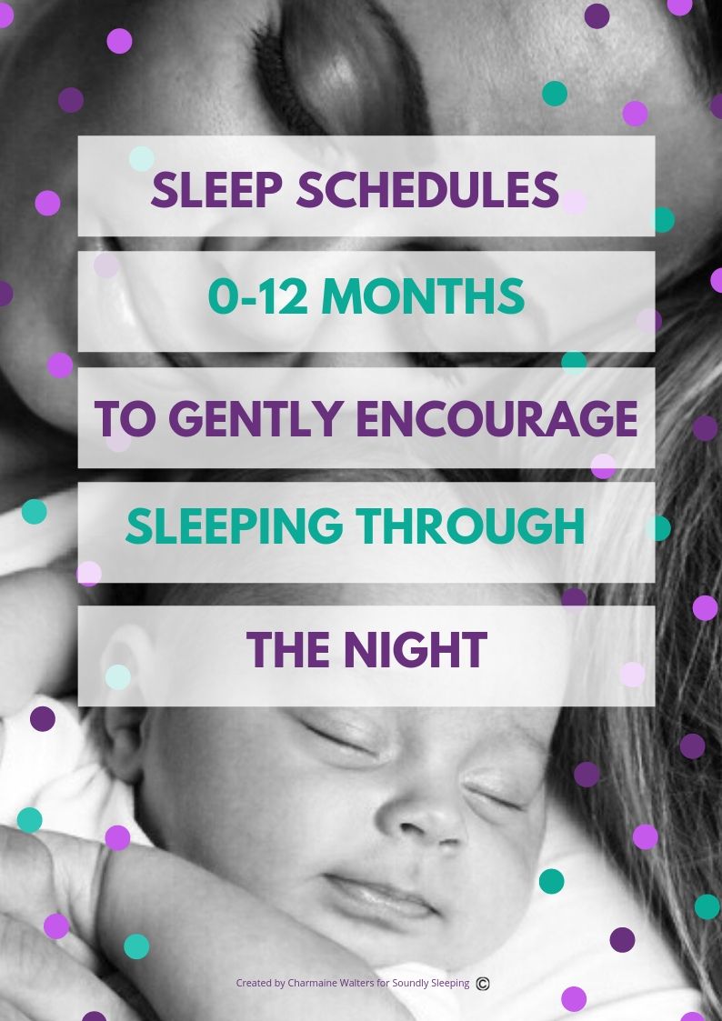 Sleep Schedules 0-12 months Freebie Sleep Schedules 0-12 months Freebie