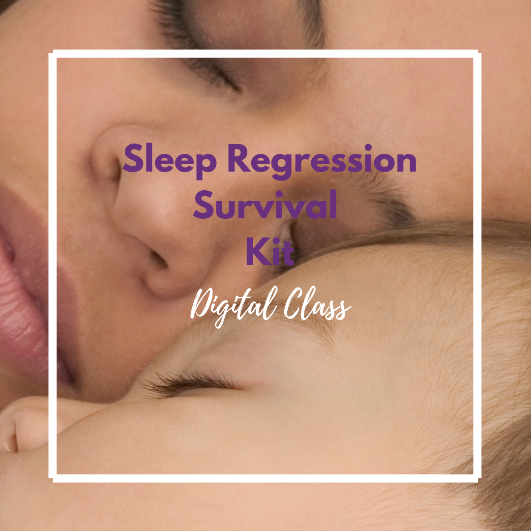 Sleep Regression Survival Kit Digital Class 