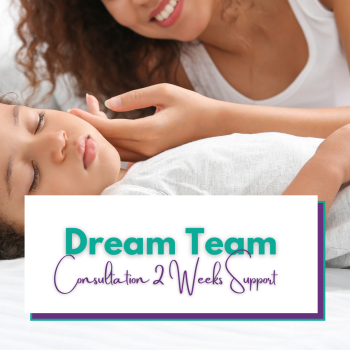Dream Team Consultation 2 Weeks Support