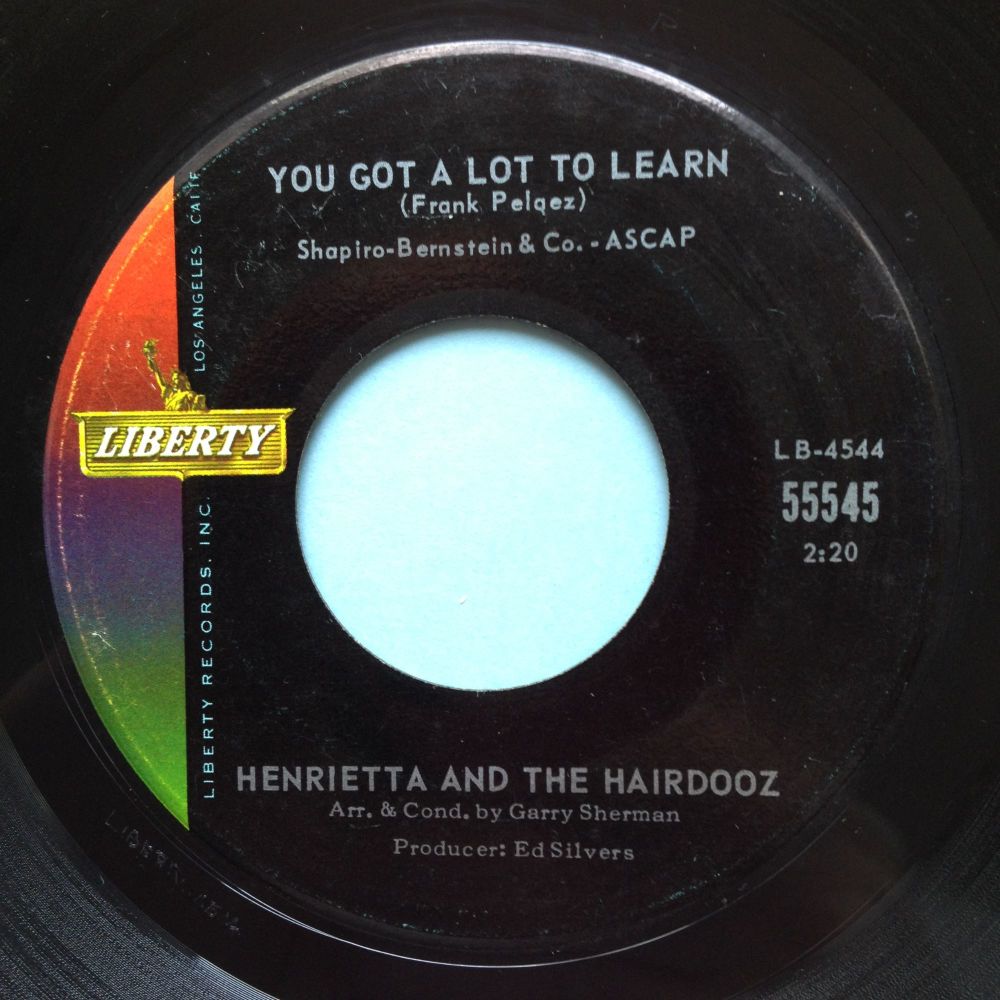 Henrietta and the Hairdooz - You got a lot to learn - Lierty - Ex