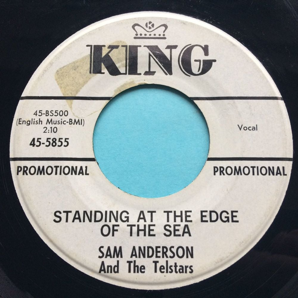 Sam Anderson - Standing at the edge of the sea - King promo - VG+