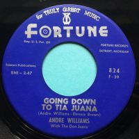 Andre Williams - Going down to Tia Juana - Fortune - Ex