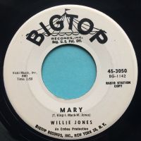 Willie Jones - Mary - Bigtop promo - Ex
