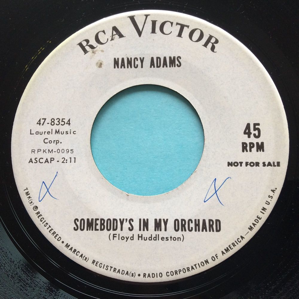 Nancy Adams - Somebody's in my orchard - RCA promo - Ex