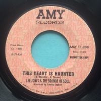 Lee Jones and the Sounds of Soul - This heart is haunted - Amy promo - looks VG plays VG+