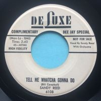 Sandy Reed - Tell me whatcha gonna do - Deluxe promo - Ex-