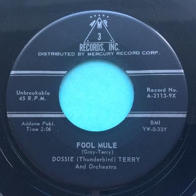 Dossie (Thunderbird) Terry - Fool Mule - 3 Amp - Ex-