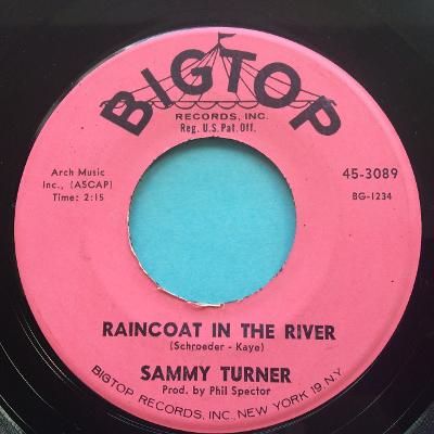 Sammy Turner - Raincoat in the river - Big Top - Ex