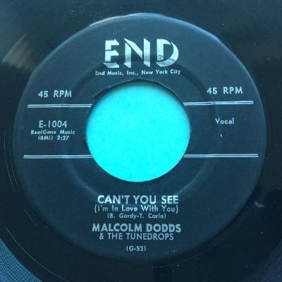Malcolm Dodds - Can't you see - End - VG+