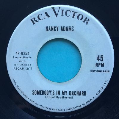 Nancy Adams - Somebody's in my orchard - RCA promo - VG+