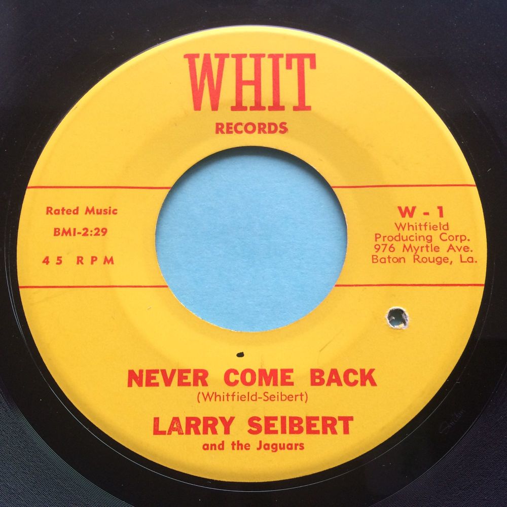 Larry Seibert - Never come back - Whit - Ex- (stkr stain on flip)