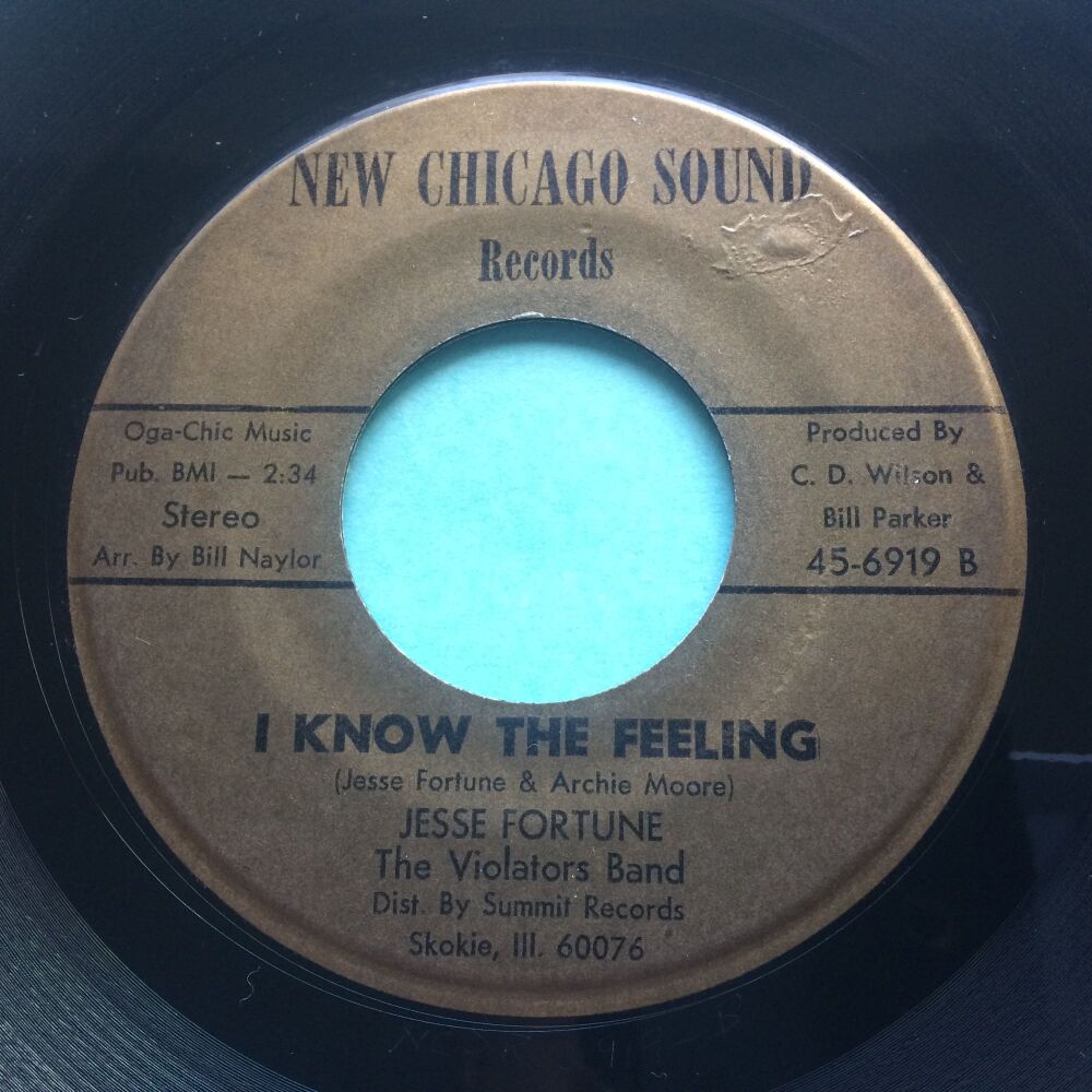 Jesse Fortune - I know the meaning - New Chicago Sound - Ex