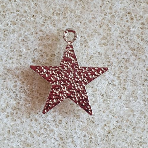Platinum Plated Star Charm