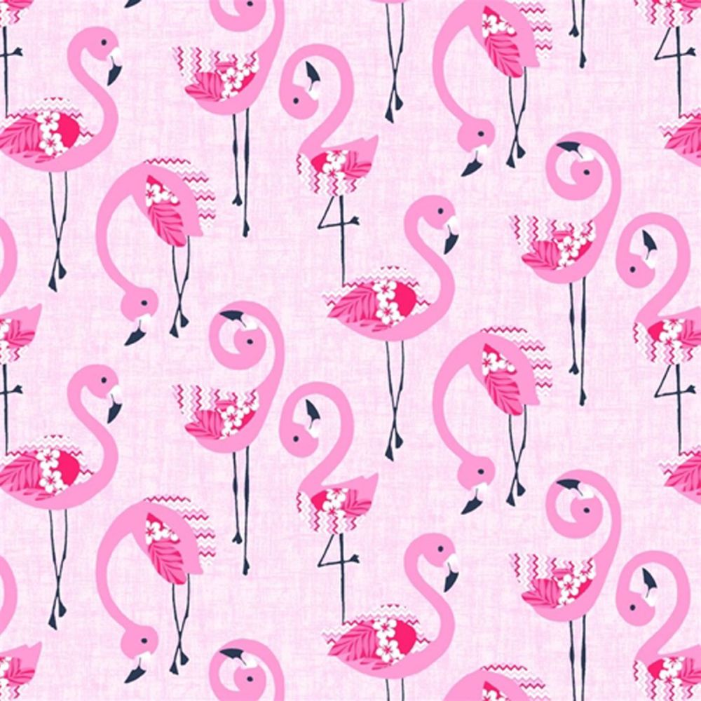 Flamingo Beach ~ Studio e ~ Flamingoes